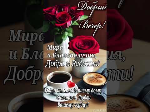 Добрый вечер 💙Мира и благополучия,добра и радости💜