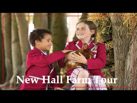 Welcome to New Hall Farm