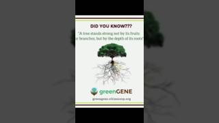 #savetheworld #savetreessavelife #importanceofplantingtrees#benefitsofplantingtrees#greenliving