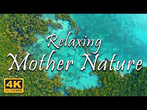 Mother Nature - Relaxing Video | Stress Relief | Relax/Scenery/Calm/Meditation/Study | 4K