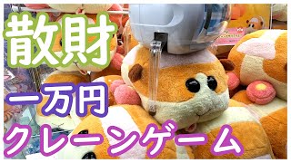 悲報！クレーンゲームで散財してきた！一万円あってもあっという間になくなってしまう！お菓子やぬいぐるみをひたすらプレイしてきた！