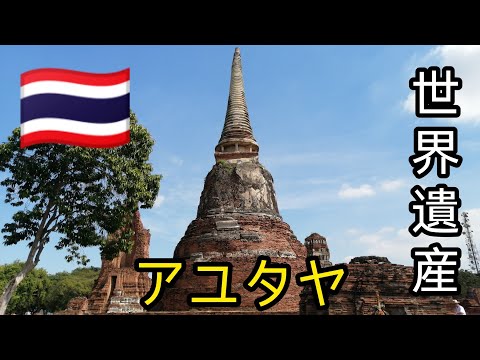 【アユタヤ旅行🇹🇭】古都の魅力 日本人村 世界遺産アユタヤ観光！ネコとの出会い🐈  ブリーラムへ จังหวัดพระนครศรีอยุธยา #Ayutthaya #タイ #アユタヤ #海外旅行