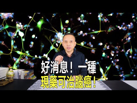 好消息！ 《自然-醫學》揭露：一種現成藥或可治療惡性腦癌