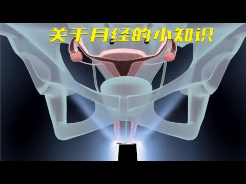 你知道女生的大姨妈是如何形成的吗？