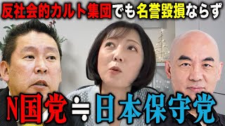 【N国党裁判】日本保守党をカルト集団といっても問題ありません!?【飯山あかり/あかりちゃんねる】