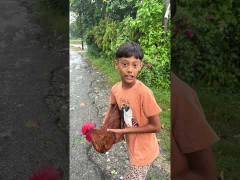 mera murga kukdi kuu 🤣🐓 #shorts #viral #trending #funny