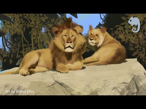 90MAC BIG CATS - art class