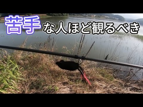 【バス釣り】実は9月〜10月超釣れるんでフロッグの徹底解説をします