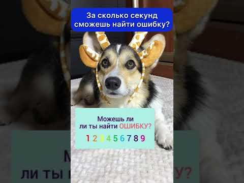 СМЕШНЫЕ ЖИВОТНЫЕ | СМОЖЕШЬ НАЙТИ ОШИБКУ?