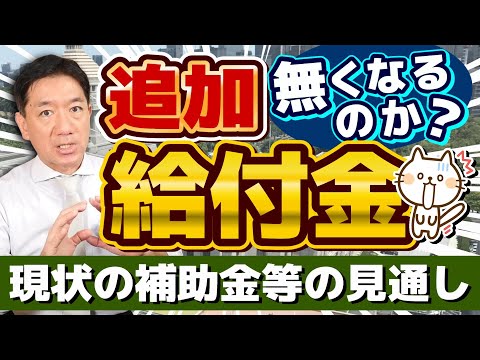 【追加給付金 無くなるのか？】給付金に関する最新情報/ 総合経済・物価高対策、政権の枠組みに左右か/ 自公国3党の部分連合/ その他補助金の見通し/ 厚労省支援/ 詐欺注意等〈R6年11/7 時点〉