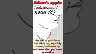 Adam's apple #LetslearnEnglish #RRIRS