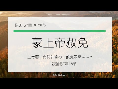 11月28日《灵命日粮》文章视频-蒙上帝赦免