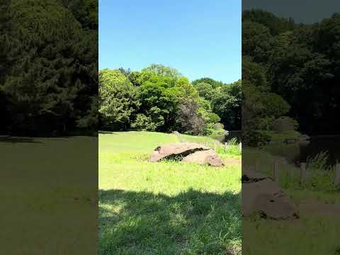 【亀石】明治神宮北側の芝生広場でピクニック