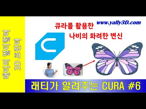 래티가 알려주는 CURA #6