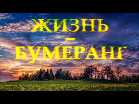 Стих с глубоким смыслом "Жизнь - бумеранг" Олег Гаврилюк Читает Леонид Юдин