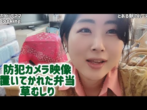 防犯カメラ映像＆置いてかれたお弁当＆草むしり