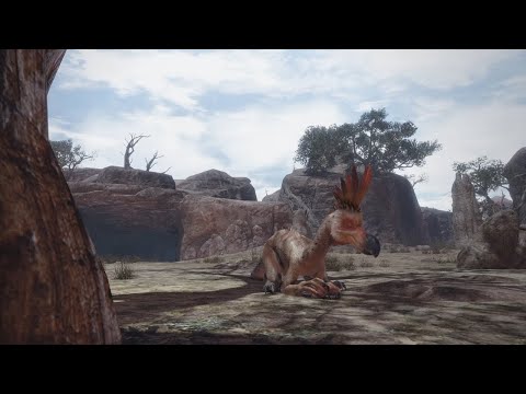 MH Rise - Kulu-Ya-Ku Take Shelter Under A Tree In The Desert