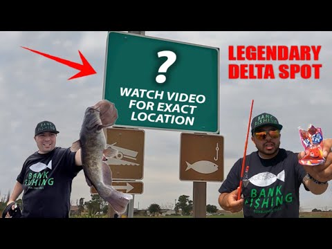 Fishing a LEGENDARY Delta Spot Using KOOL-AID! #fishing #fish #delta #fun #new #california #video