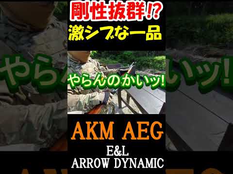 サバゲー AKM AEG ARROW DYNAMIC E&L 電動ガン #shorts#airsoft# #airsoftrifle #サバゲ