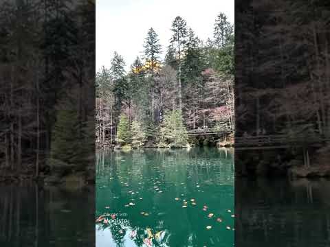 #Blausee_switzerland #switzerland #blausee_in _one_minute #lake