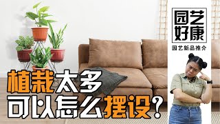 【Baba园艺好康】盆栽花树太多不知道怎样摆设？整洁的花园都是别人家的？| Baba之眼 | WT-70 植物花架