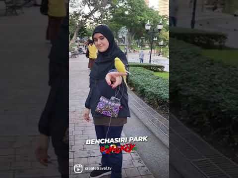 ◬ Illuminati Park Bangkok [ Benchasiri Park / Zero Waste Park ] Travel Thailand