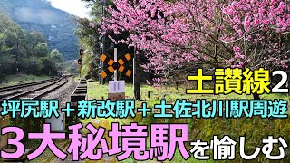 【土讃線2】四国３大秘境駅を愉しむ！琴平～阿波池田間全駅下車周遊の鉄旅