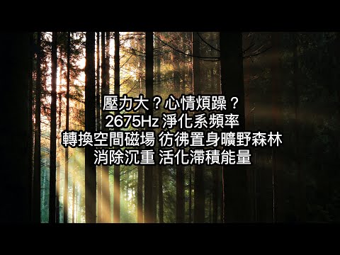 2675Hz：壓力大？心情煩躁？想去郊外散散心？空間淨化頻率，淨化家居、礦石飾品負能量，消除身心低頻能量。幫助轉換磁場，宛如置身曠野森林，消除沉重，活化滯積能量。適合冥想、學習、瑜珈使用。