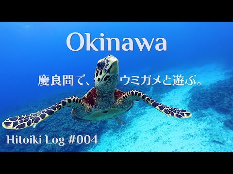 スキンダイビング@沖縄 Snorkeling in Kerama, Okinawa, September 2020 - Hitoiki Log #004 沖縄慶良間諸島