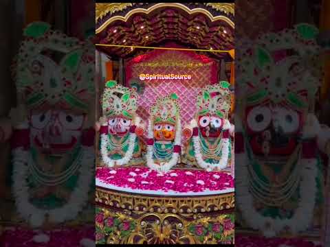 तेरी दया पर यह जीवन है मेरा | Jagannath status 4k full Screen video | jagannath status video#shorts