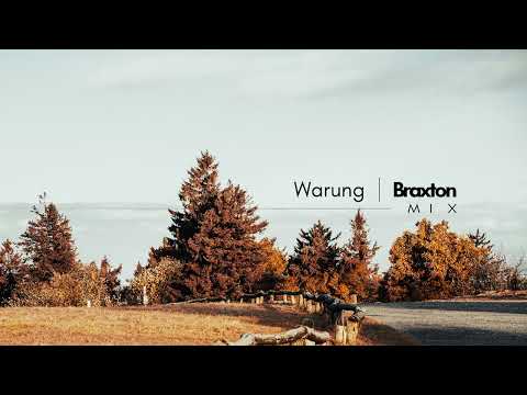 Warung  | Braxton - Mix (Pt.1)