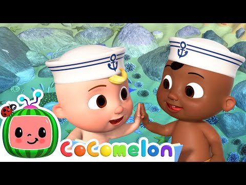 Can You Find All the Sea Animals? | CoComelon Kids Songs & Nursery Rhymes