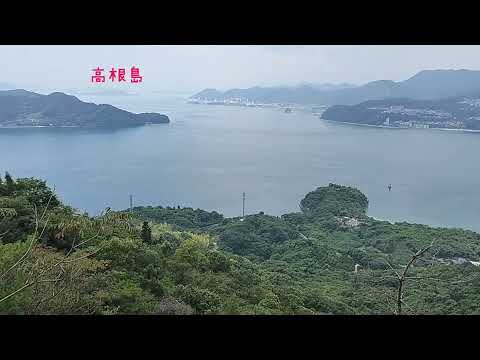 プラスONE大作戦　＆　しま山百選　大平山　2024.8.4