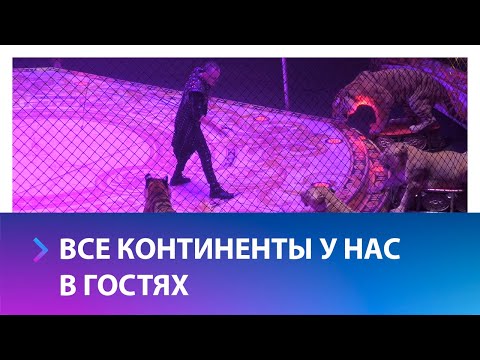 Шоу Заслуженного артиста России Гии Эрадзе «5 континентов» завершает осенний цирковой сезон