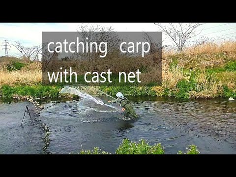 Catching crap with a cast net