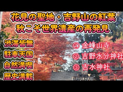 吉野山 紅葉散策は妙におもしろい　お花見も良いが下見も楽し