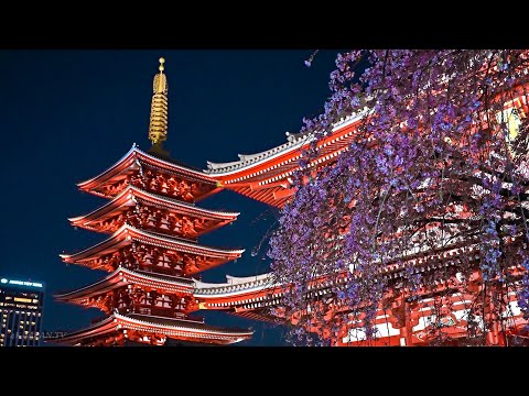 Tokyo Evening Walk Along Sumida River to Asakusa • 4K HDR