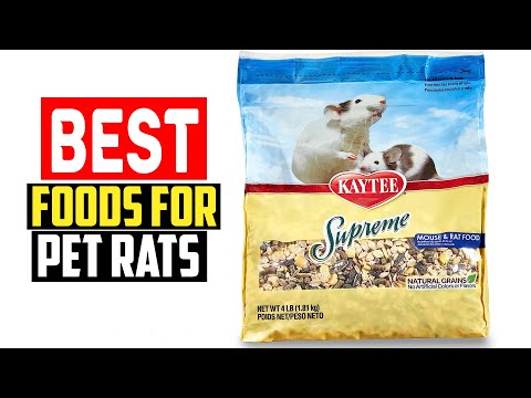 ✅The 5 Best Foods for Pet Rats of 2023