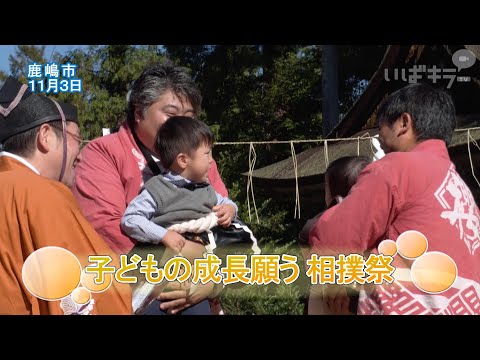 子どもの成長願う　相撲祭【いばキラニュース】R6.11.5