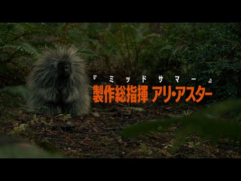 主役はサスカッチ!?映画『サスカッチ・サンセット』特報映像