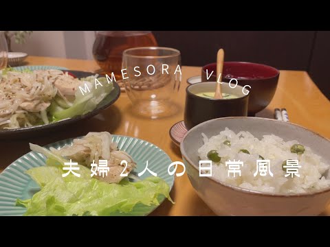 【夫婦2人の日常風景】簡単茶わん蒸しと新玉ねぎと鶏ムネ肉のマリネの献立の日😀