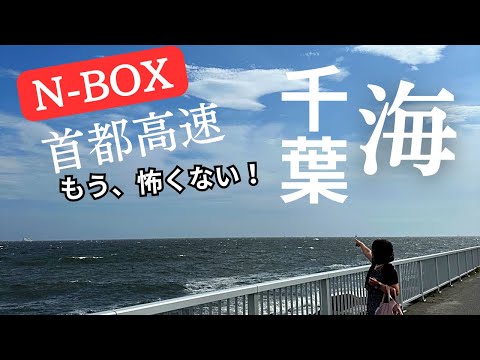 【挑戦】50代主婦の挑戦❗️N-BOXで初めて首都高速を運転してみたら🌴【休日VLOG】平日在宅勤務引きこもり主婦が、海辺の車中カフェ☕を楽しむ♪ #車中泊 #首都高速