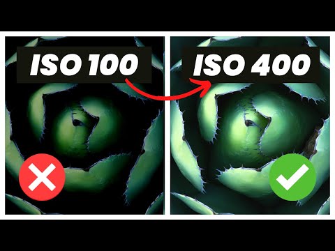 What is ISO and Why it Doesn't Matter For Landscape Photography