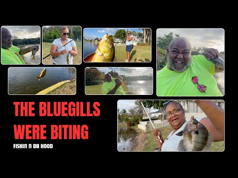 THE BLUEGILLS WERE BITING #fishing #bluegill #fishingvideo #fypyoutube #marriedlife #explorepage