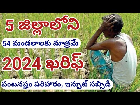 ap panta nasta pariharam list 2024 || ap panta nasta pariharam 2024