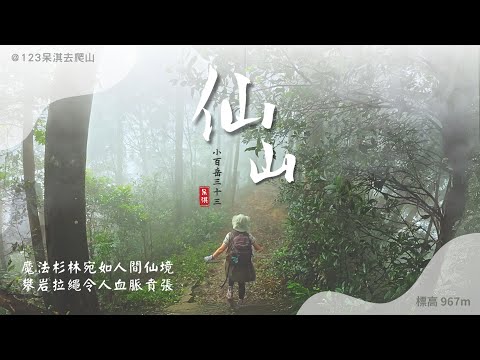 【仙山】#小百岳033｜魔法杉林宛如人間仙境｜高CP值小百岳一小時登頂｜攀岩拉繩令人血脈賁張｜客家美食帶你一起來品嘗