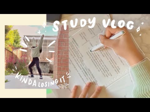 [STUDY VLOG] ft. notes, cats, and a mild decline in sanity