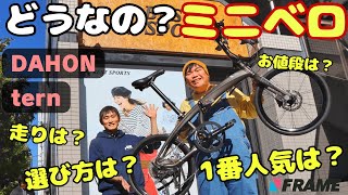 【実際どうなの？】ミニベロの気になる疑問、プロに聞いてわかった真実【選び方は？カスタムできる？ロードバイクとどう違う？】【DAHON（ダホン）】【Tern（ターン）】