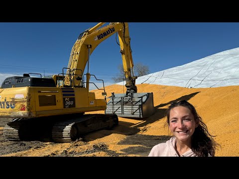 Excavator Clean Up