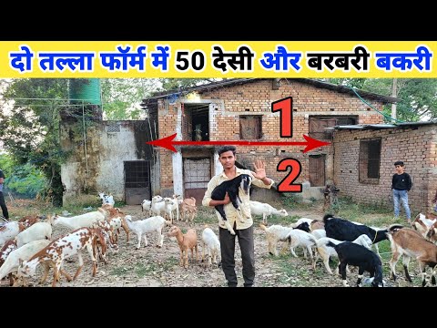 14 साल के लड़के ने सिखा दी बकरी पालन का रहस्य | Goat farming in hindi